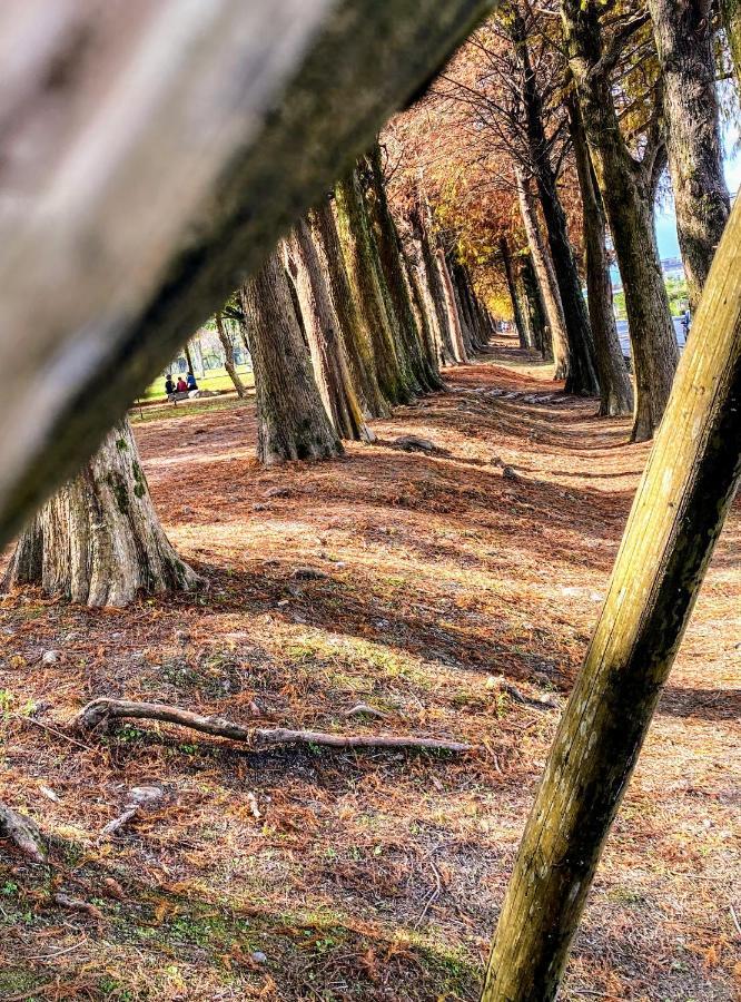 Shire Homestay Lotung Kültér fotó
